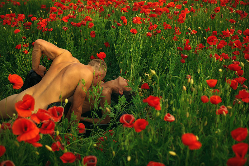 Sex auf der Blumenwiese